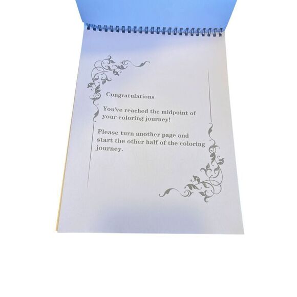 Profanity Stress-Relief Coloring Book 24 Pages Thick A4 Paper funny swearing - Picture 5 of 5